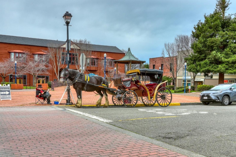 Cottage on the Canal Main image